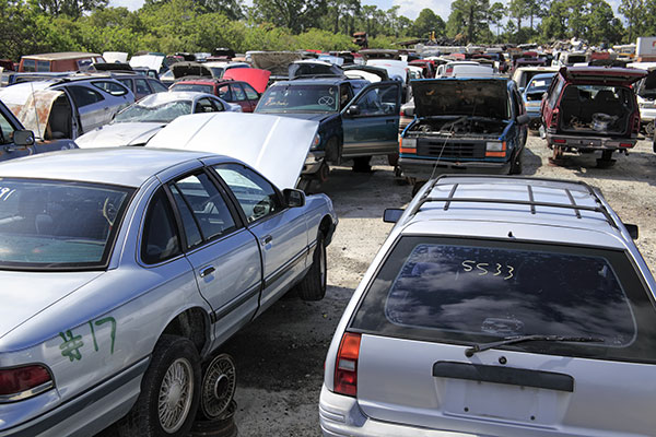 Old Car Junkyard